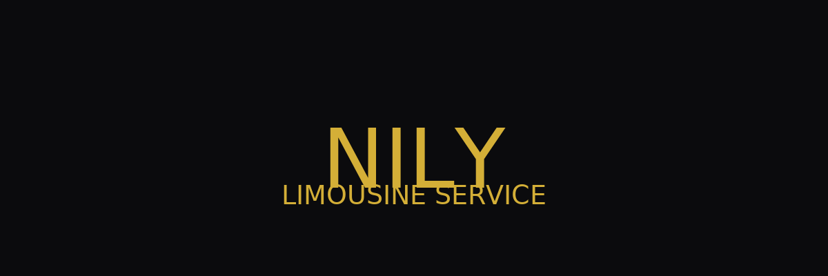 NILY Limousine Service logo